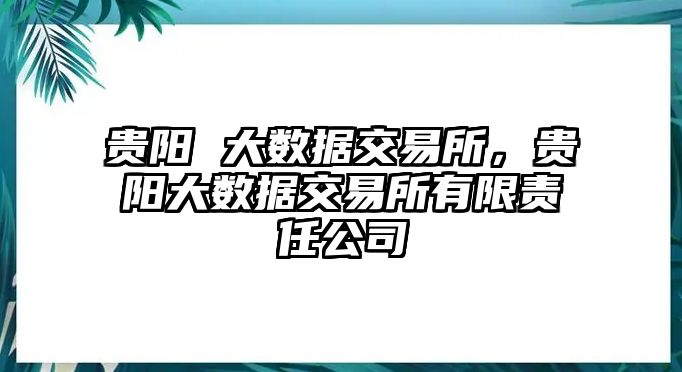 貴陽(yáng) 大數(shù)據(jù)交易所，貴陽(yáng)大數(shù)據(jù)交易所有限責(zé)任公司