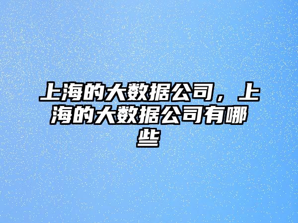 上海的大數(shù)據(jù)公司，上海的大數(shù)據(jù)公司有哪些