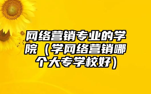 網(wǎng)絡(luò)營(yíng)銷專業(yè)的學(xué)院（學(xué)網(wǎng)絡(luò)營(yíng)銷哪個(gè)大專學(xué)校好）