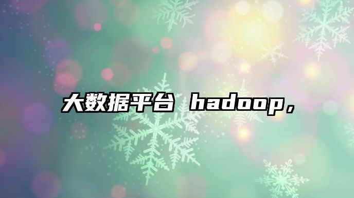 大數(shù)據(jù)平臺 hadoop，