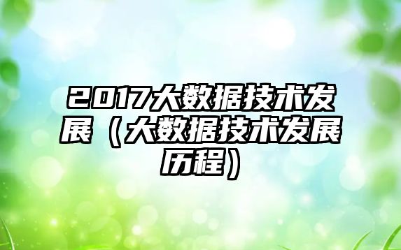 2017大數(shù)據(jù)技術(shù)發(fā)展（大數(shù)據(jù)技術(shù)發(fā)展歷程）