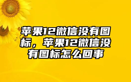 蘋果12微信沒(méi)有圖標(biāo)，蘋果12微信沒(méi)有圖標(biāo)怎么回事