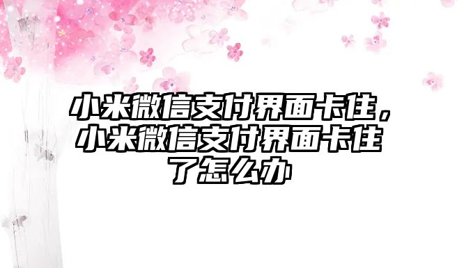 小米微信支付界面卡住，小米微信支付界面卡住了怎么辦