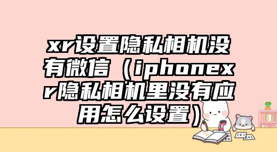 xr設(shè)置隱私相機(jī)沒(méi)有微信（iphonexr隱私相機(jī)里沒(méi)有應(yīng)用怎么設(shè)置）