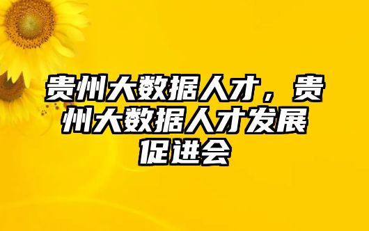 貴州大數(shù)據(jù)人才，貴州大數(shù)據(jù)人才發(fā)展促進(jìn)會