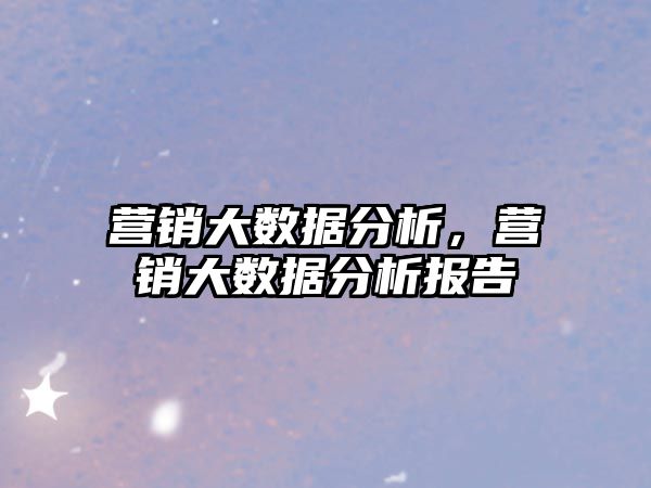 營銷大數(shù)據(jù)分析，營銷大數(shù)據(jù)分析報告