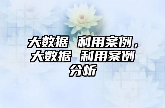 大數(shù)據(jù) 利用案例，大數(shù)據(jù) 利用案例分析