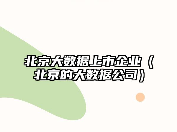 北京大數(shù)據(jù)上市企業(yè)（北京的大數(shù)據(jù)公司）