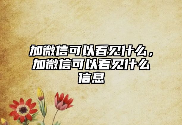 加微信可以看見什么，加微信可以看見什么信息