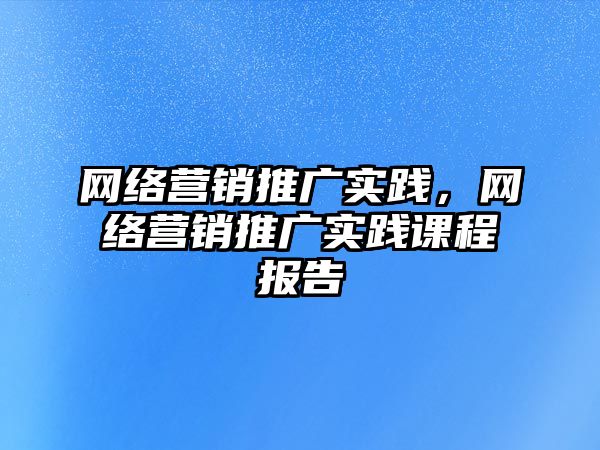 網絡營銷推廣實踐，網絡營銷推廣實踐課程報告