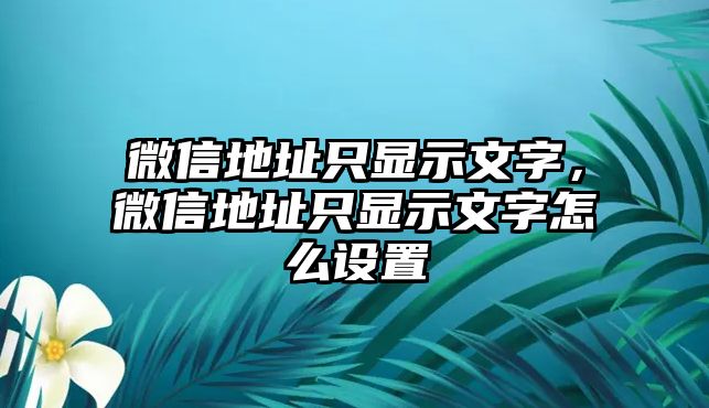 微信地址只顯示文字，微信地址只顯示文字怎么設(shè)置