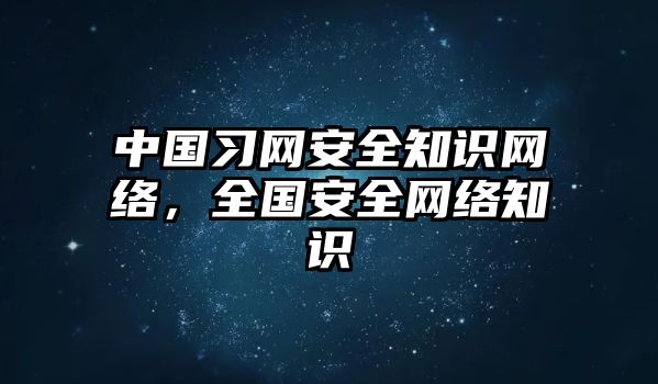 中國習(xí)網(wǎng)安全知識網(wǎng)絡(luò)，全國安全網(wǎng)絡(luò)知識