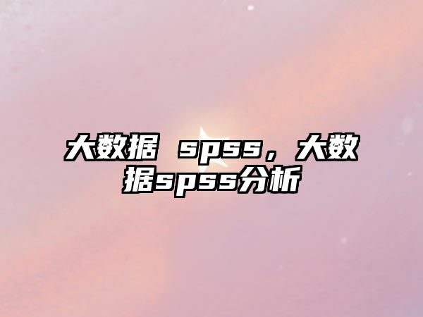 大數(shù)據(jù) spss，大數(shù)據(jù)spss分析