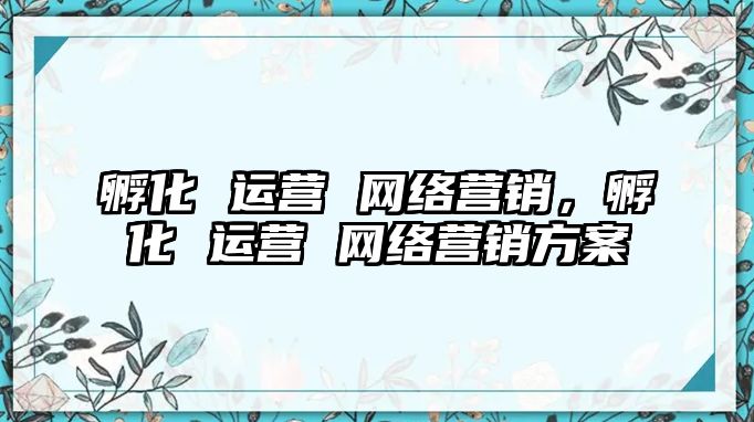 孵化 運(yùn)營 網(wǎng)絡(luò)營銷，孵化 運(yùn)營 網(wǎng)絡(luò)營銷方案