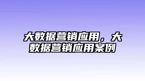 大數(shù)據(jù)營銷應(yīng)用，大數(shù)據(jù)營銷應(yīng)用案例