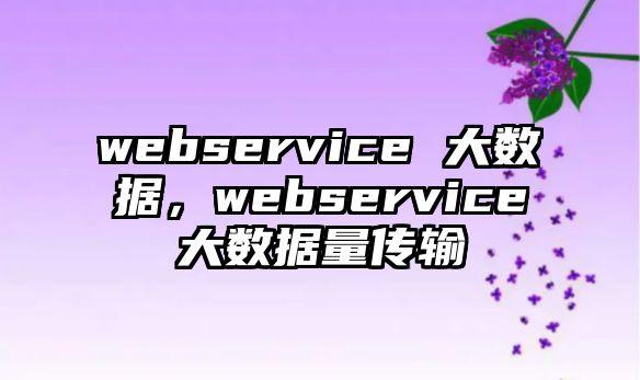 webservice 大數(shù)據(jù)，webservice大數(shù)據(jù)量傳輸