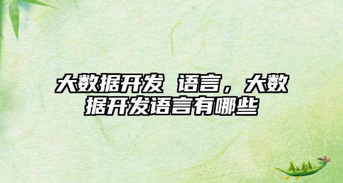 大數(shù)據(jù)開發(fā) 語言，大數(shù)據(jù)開發(fā)語言有哪些