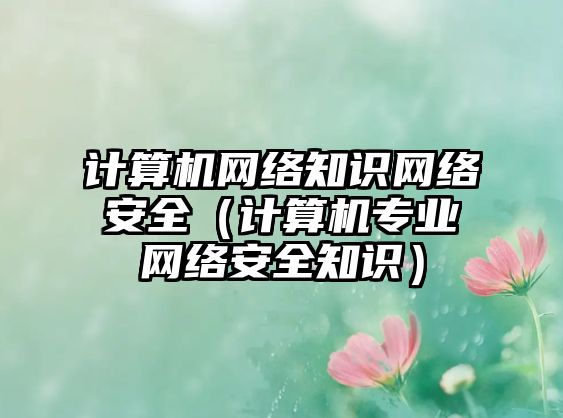 計(jì)算機(jī)網(wǎng)絡(luò)知識(shí)網(wǎng)絡(luò)安全（計(jì)算機(jī)專業(yè)網(wǎng)絡(luò)安全知識(shí)）