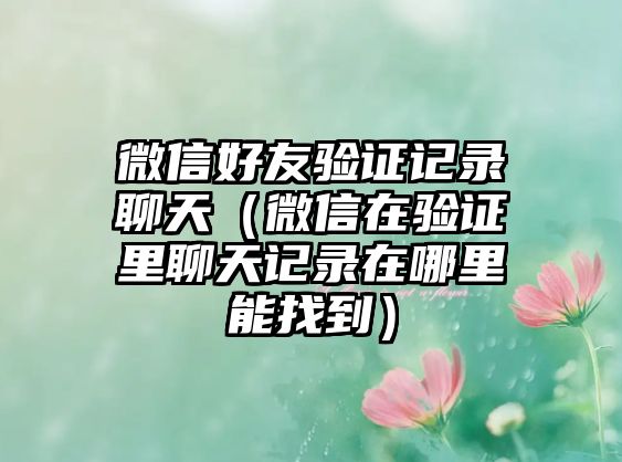 微信好友驗(yàn)證記錄聊天（微信在驗(yàn)證里聊天記錄在哪里能找到）