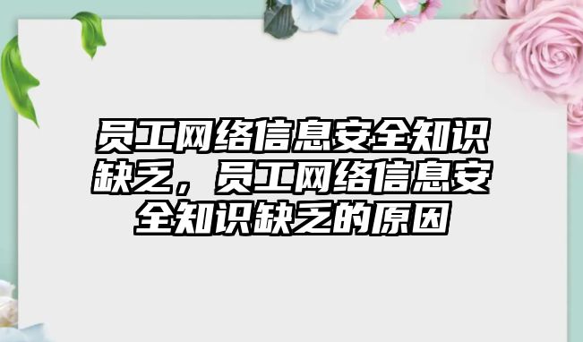 員工網(wǎng)絡信息安全知識缺乏，員工網(wǎng)絡信息安全知識缺乏的原因