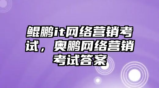 鯤鵬it網(wǎng)絡(luò)營(yíng)銷(xiāo)考試，奧鵬網(wǎng)絡(luò)營(yíng)銷(xiāo)考試答案