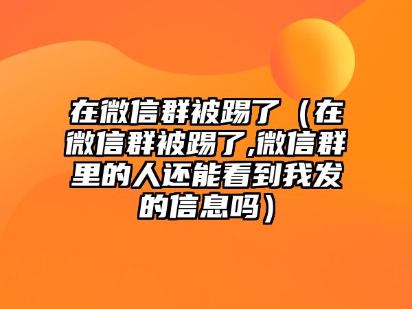 在微信群被踢了（在微信群被踢了,微信群里的人還能看到我發(fā)的信息嗎）