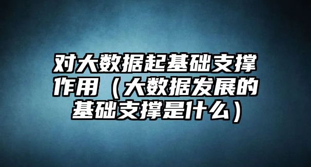 對(duì)大數(shù)據(jù)起基礎(chǔ)支撐作用（大數(shù)據(jù)發(fā)展的基礎(chǔ)支撐是什么）