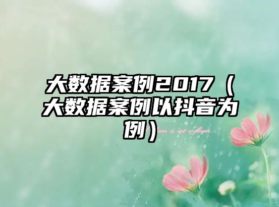 大數(shù)據(jù)案例2017（大數(shù)據(jù)案例以抖音為例）