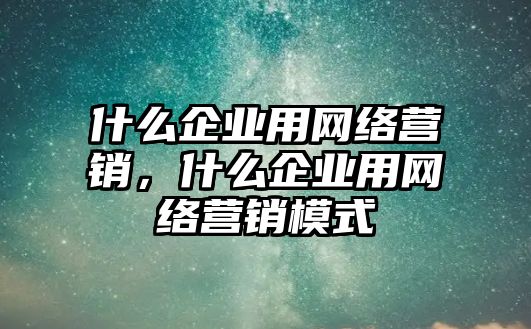 什么企業(yè)用網(wǎng)絡(luò)營(yíng)銷，什么企業(yè)用網(wǎng)絡(luò)營(yíng)銷模式