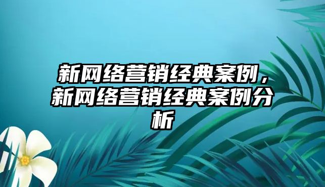 新網(wǎng)絡(luò)營(yíng)銷(xiāo)經(jīng)典案例，新網(wǎng)絡(luò)營(yíng)銷(xiāo)經(jīng)典案例分析