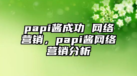 papi醬成功 網(wǎng)絡(luò)營銷，papi醬網(wǎng)絡(luò)營銷分析