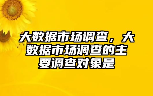 大數(shù)據(jù)市場(chǎng)調(diào)查，大數(shù)據(jù)市場(chǎng)調(diào)查的主要調(diào)查對(duì)象是