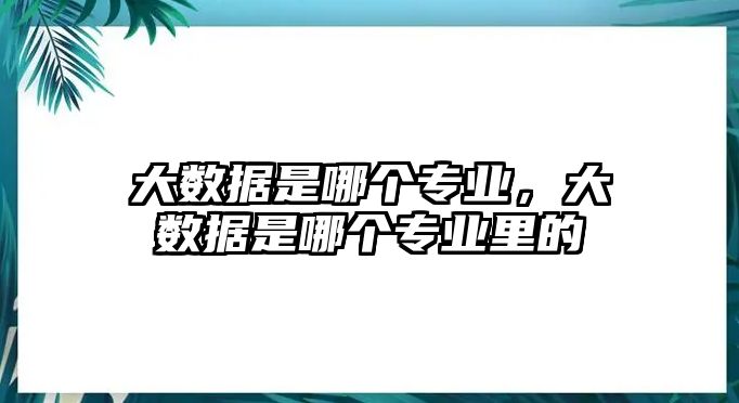 大數(shù)據(jù)是哪個(gè)專業(yè)，大數(shù)據(jù)是哪個(gè)專業(yè)里的