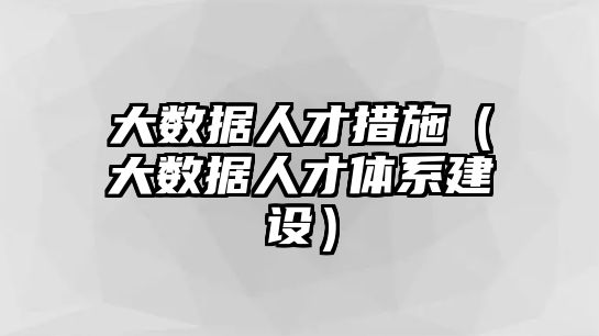 大數(shù)據(jù)人才措施（大數(shù)據(jù)人才體系建設）