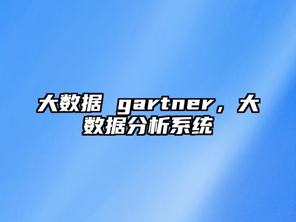 大數(shù)據(jù) gartner，大數(shù)據(jù)分析系統(tǒng)