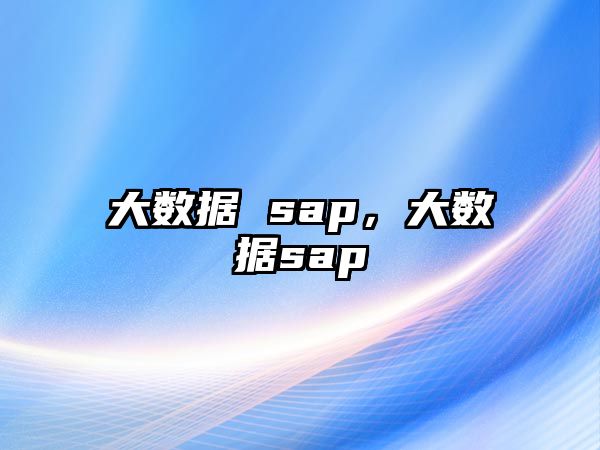 大數(shù)據(jù) sap，大數(shù)據(jù)sap