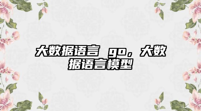 大數(shù)據(jù)語言 go，大數(shù)據(jù)語言模型