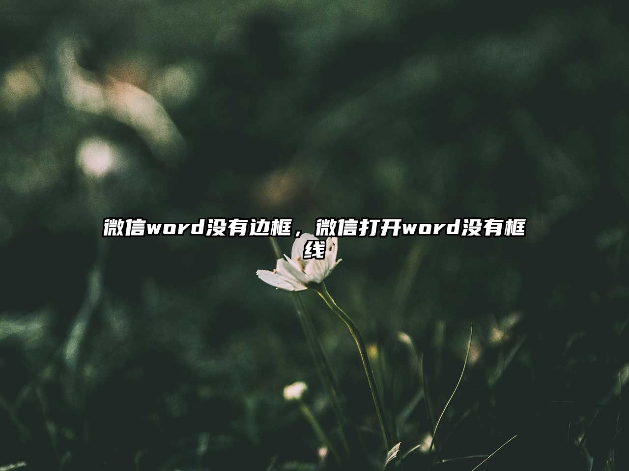 微信word沒有邊框，微信打開word沒有框線